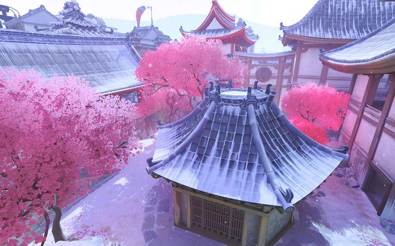 多处动物园将猫移出猴山，对不起动物园，猫子治不了你的功能不全